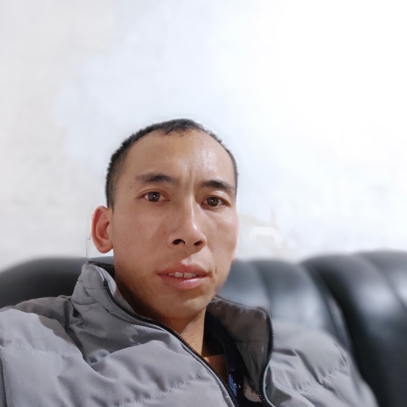 优雅迎鸭子的照片