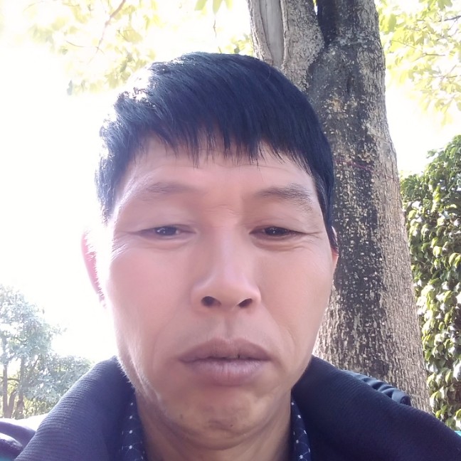 哭泣向西安的照片