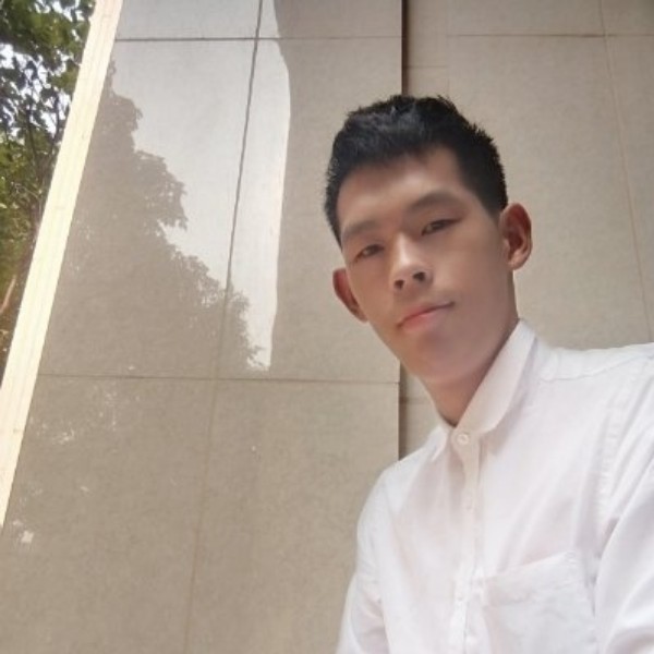 灰狼凝眸快乐的照片