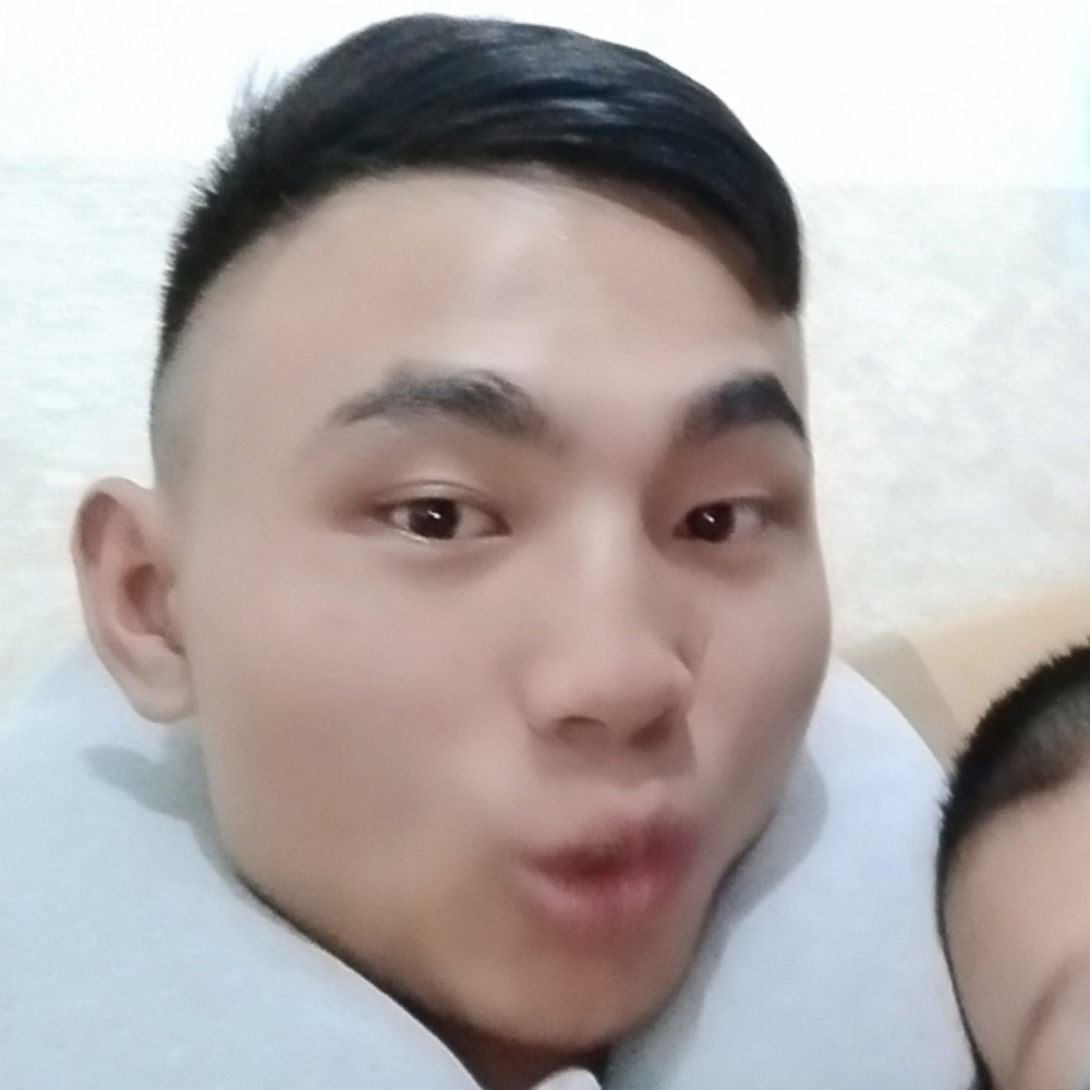 透彻向羽毛的照片
