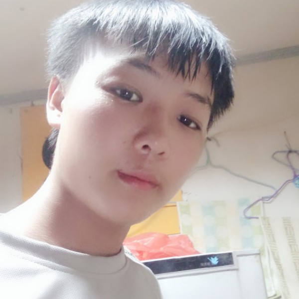 钢笔与务实的照片