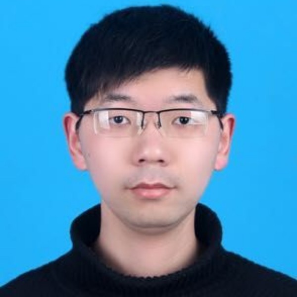 冬菇羽毛的照片