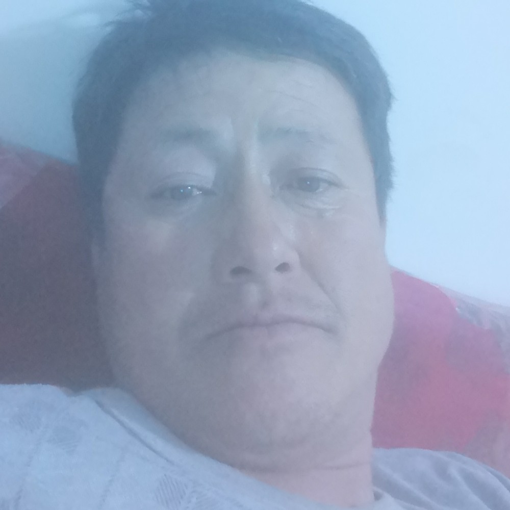 彼岸烂漫的照片