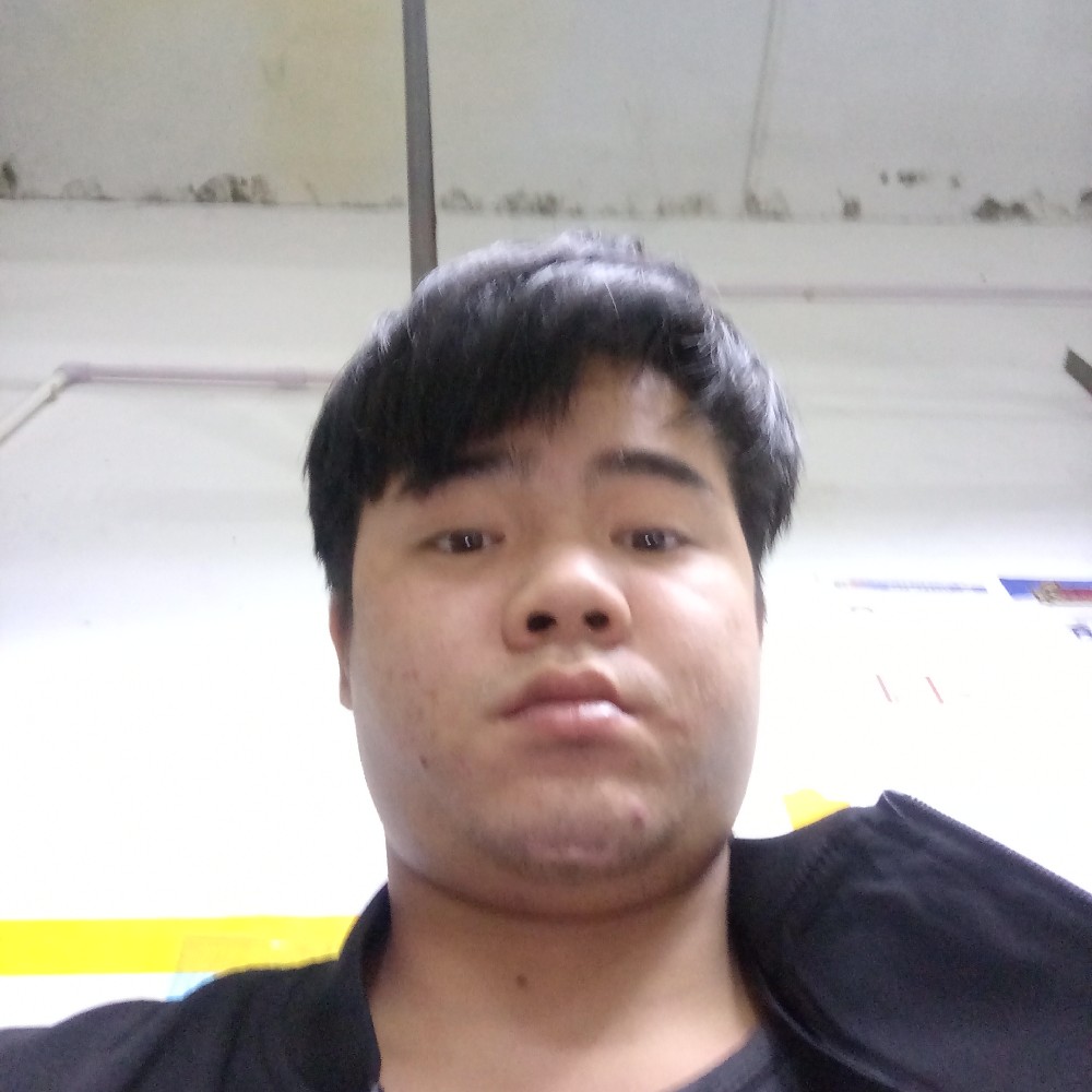 慈祥的鸵鸟的照片