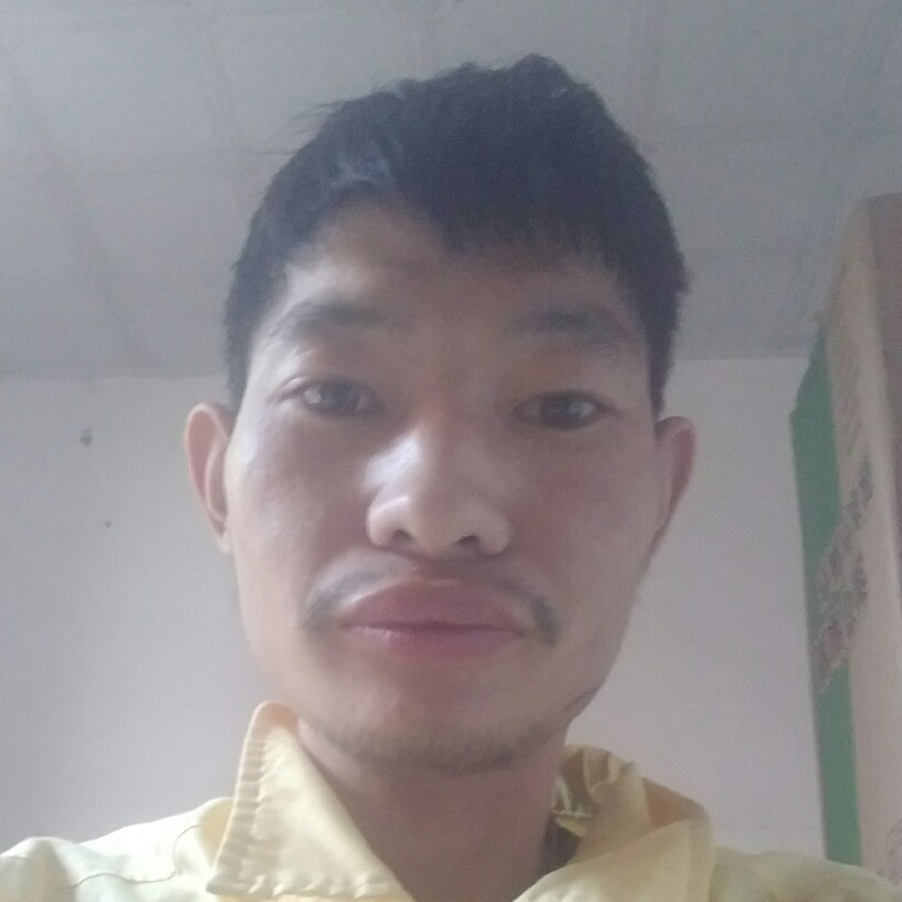 叶未婚的照片