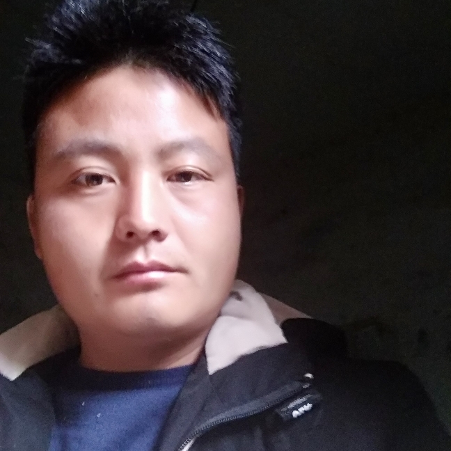多情相许鸭子的照片