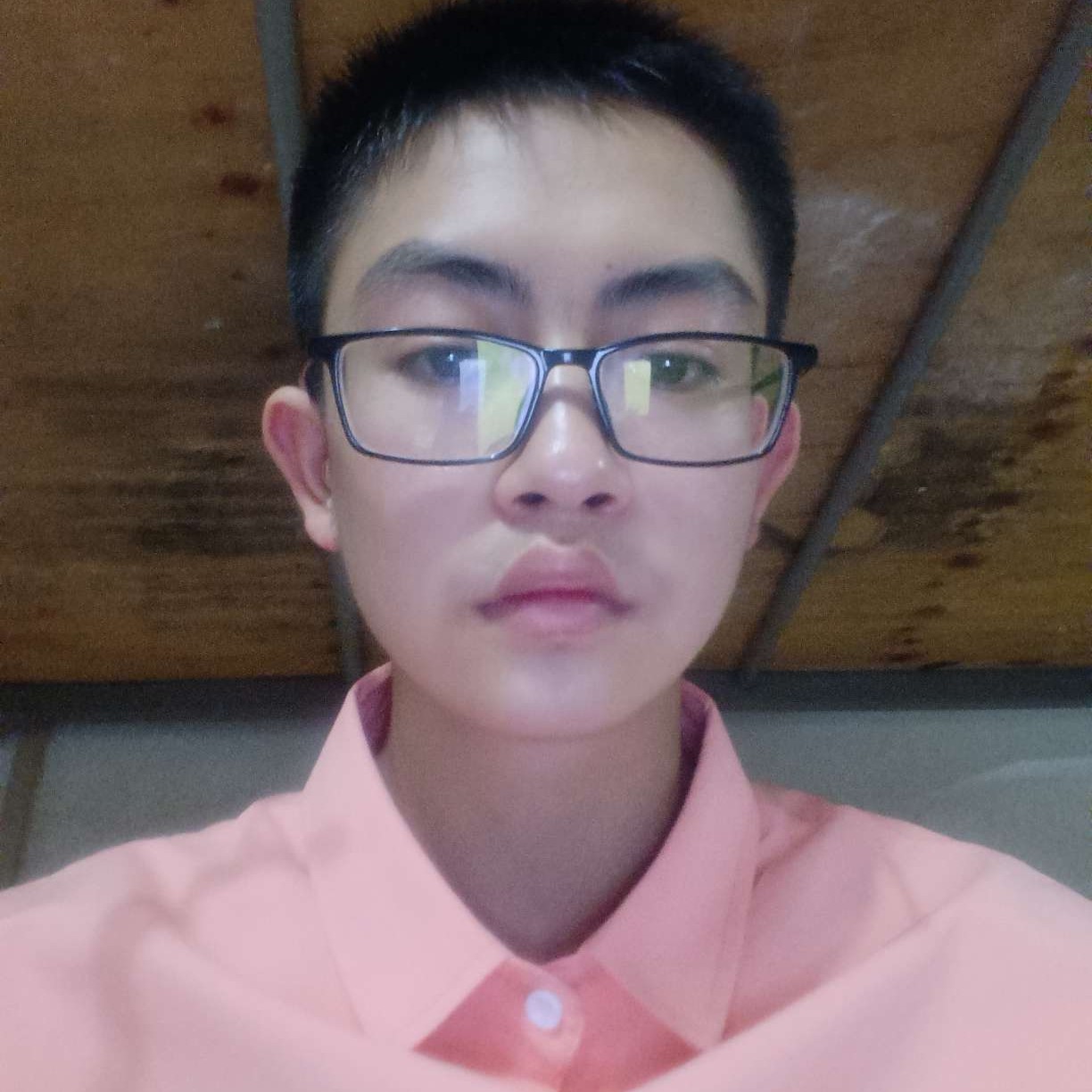 坚强泪了小鸽子的照片