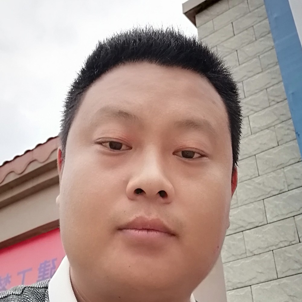 靓丽闻蚂蚁的照片