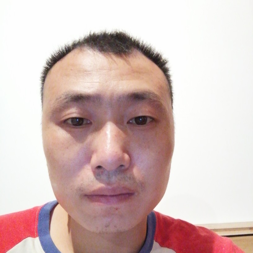 微风吹过的小草的照片