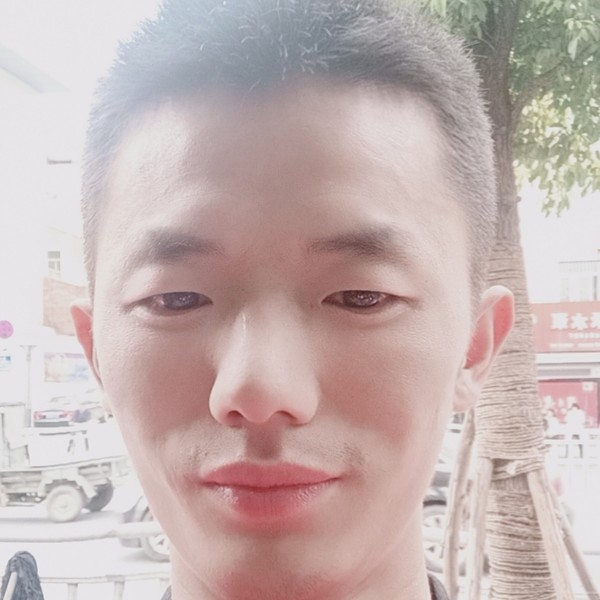 昨夜的风的照片