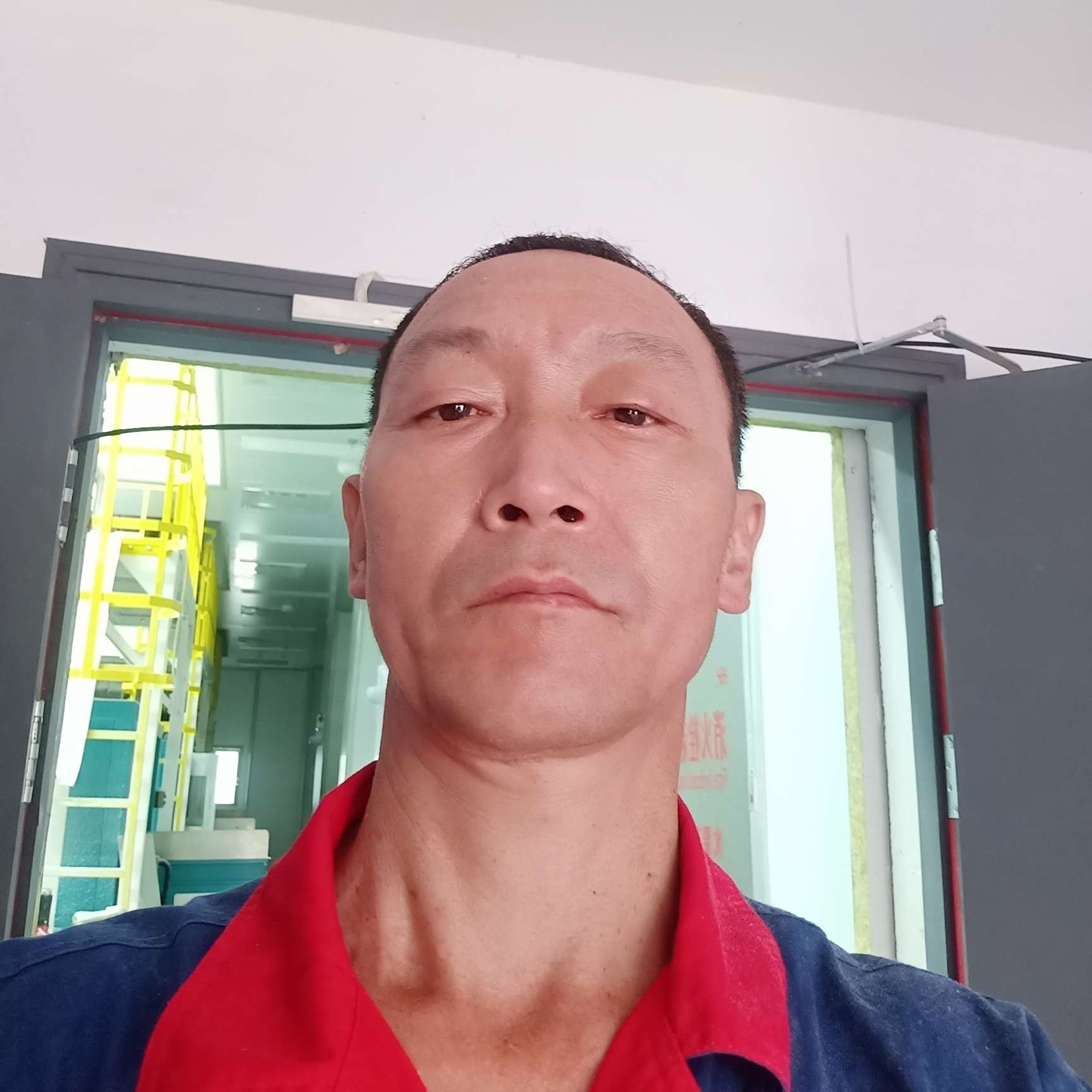黯然苦恋斑马的照片