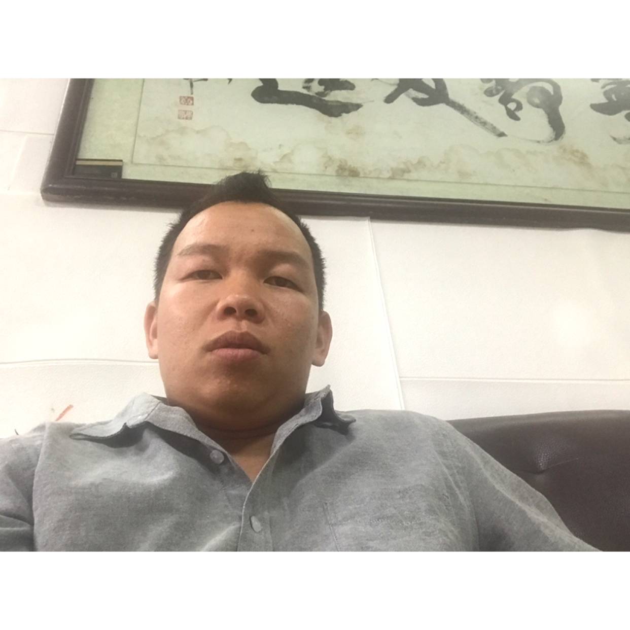 成就龟业的照片