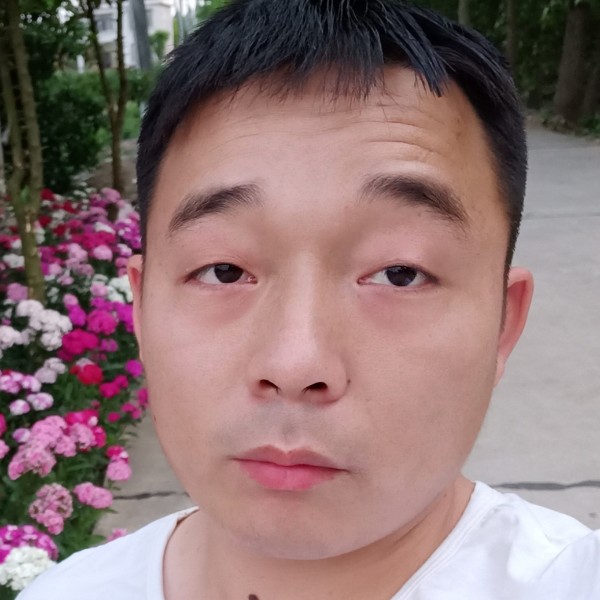 紫菜多么缥缈的照片