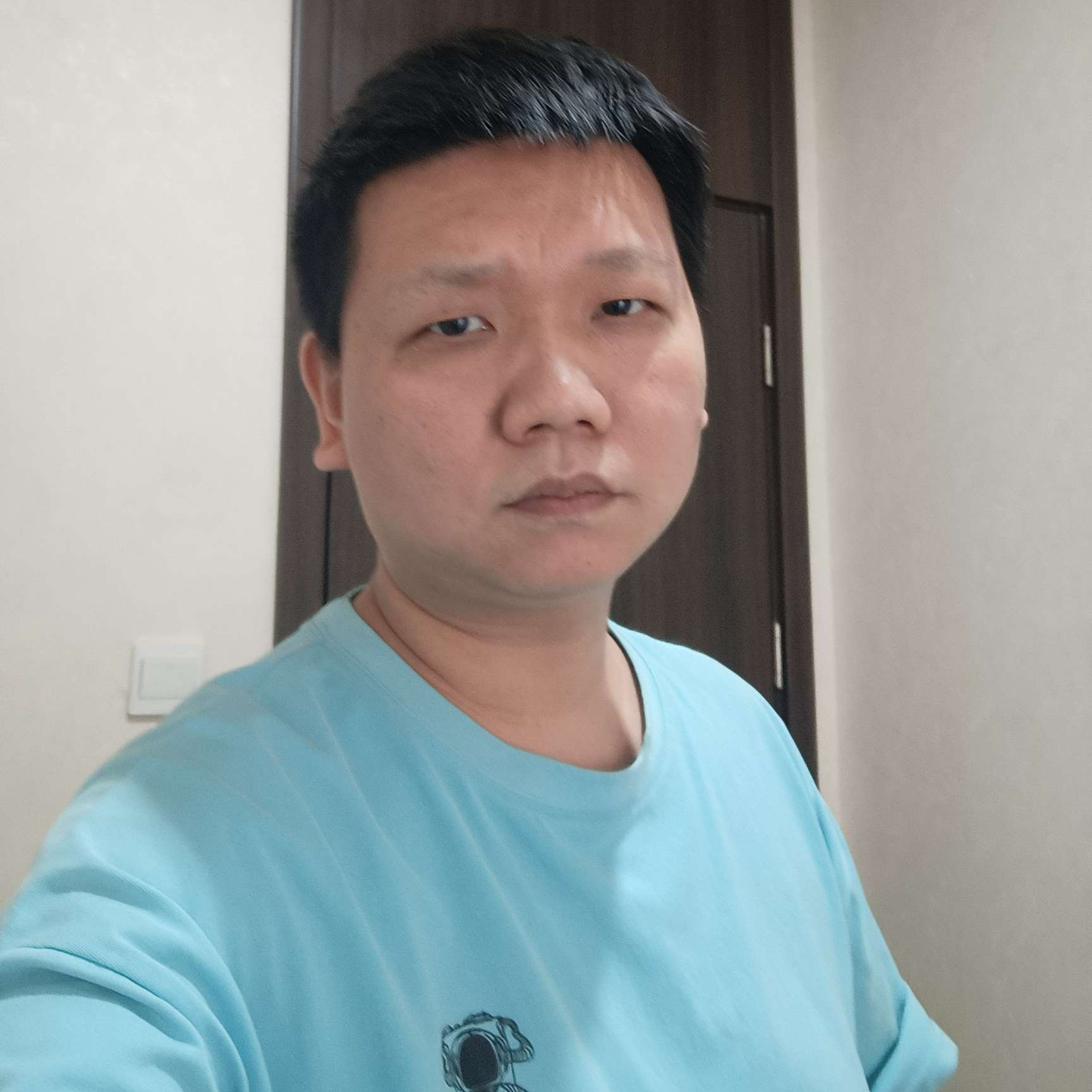 一叶蚂蚁的照片
