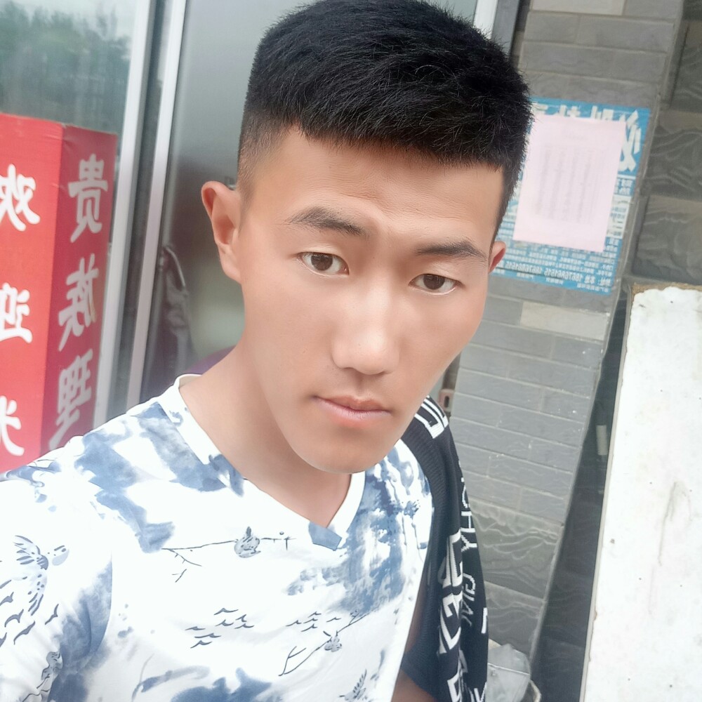 钢铁二哈属性的照片