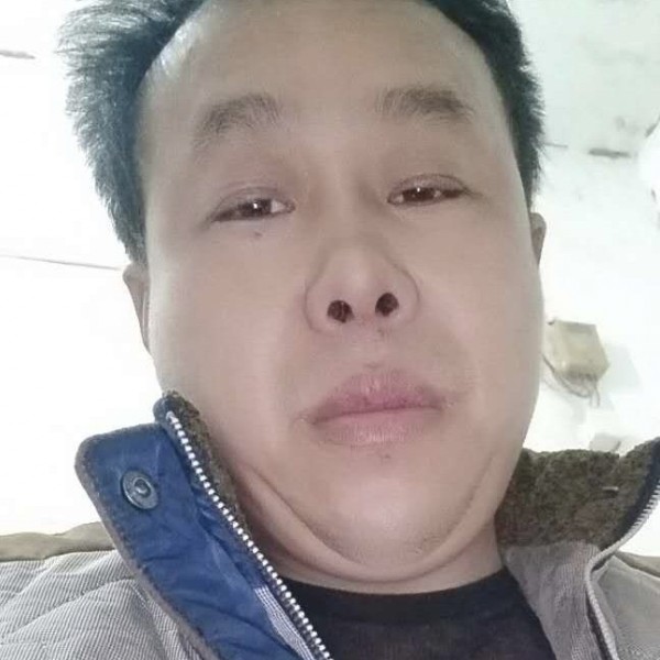 大树那透彻的照片