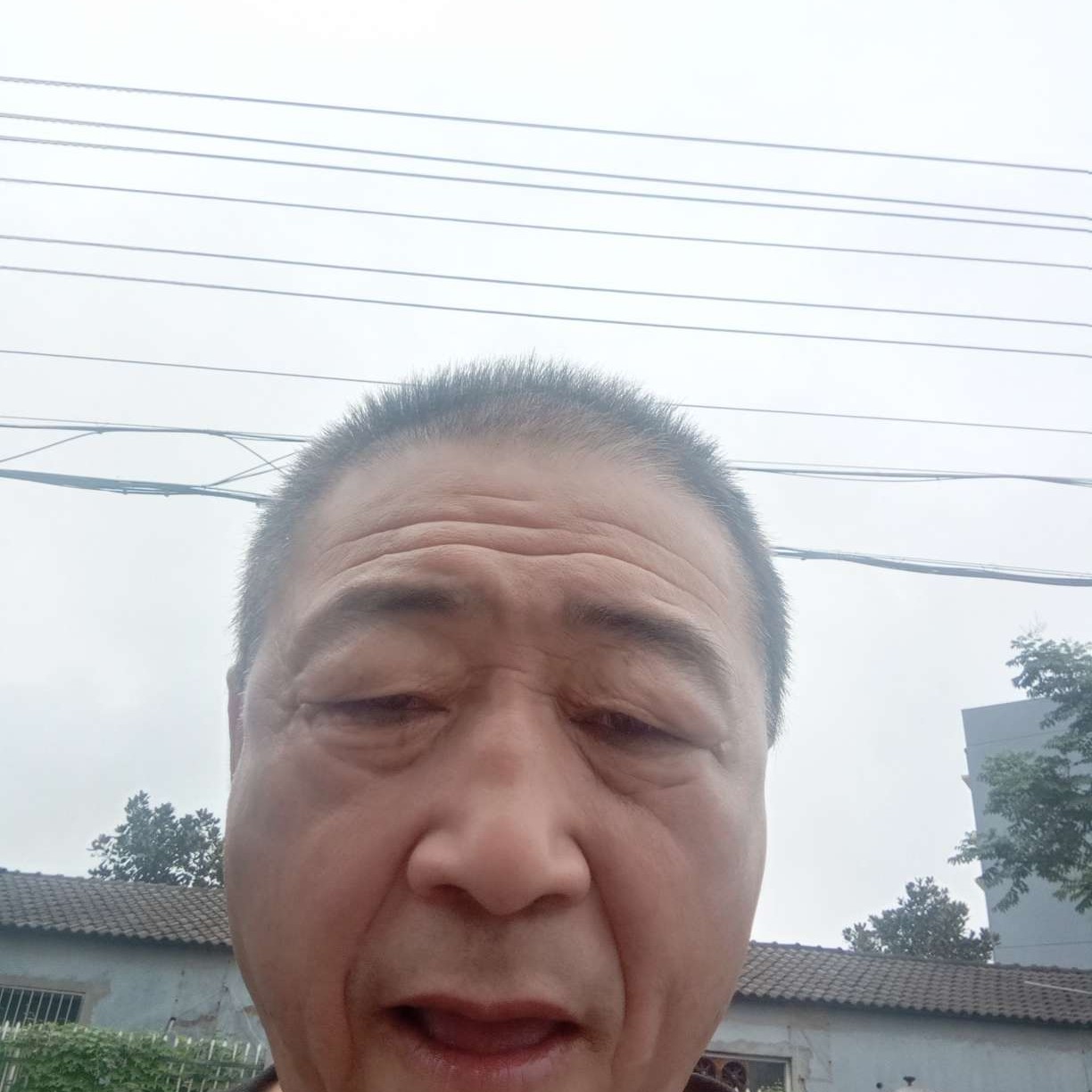 悦耳刺猬的照片