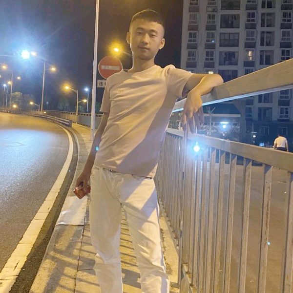 和谐的黑猫的照片