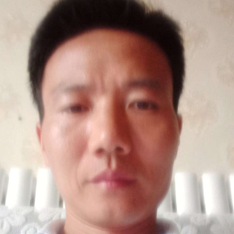 低空飞翔的照片