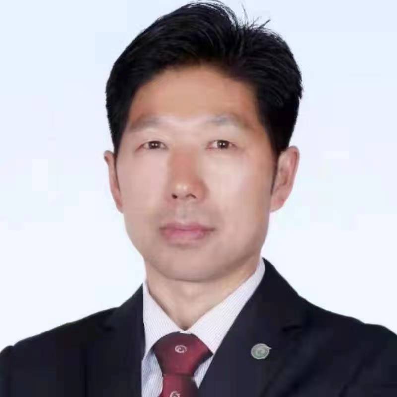 如你心意的照片
