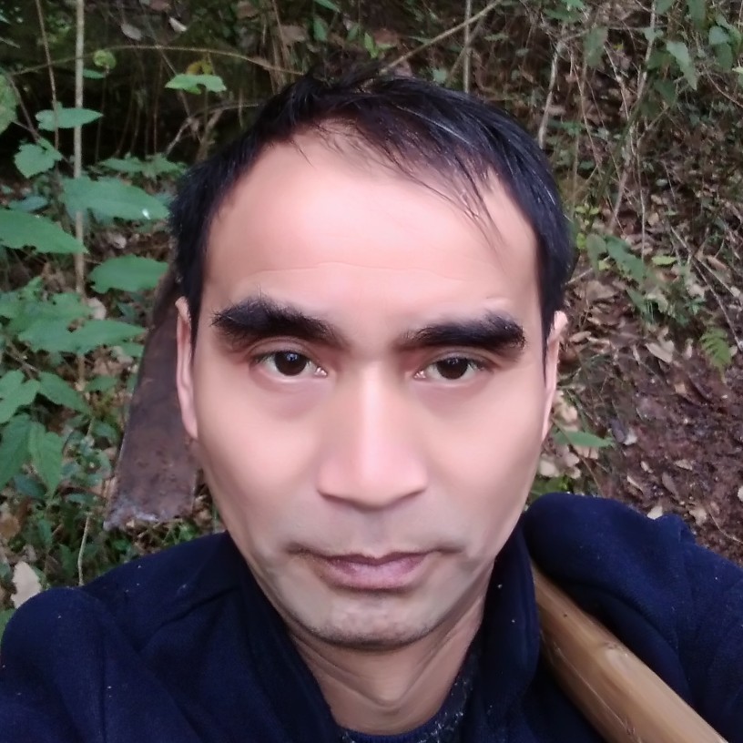 江陵的照片