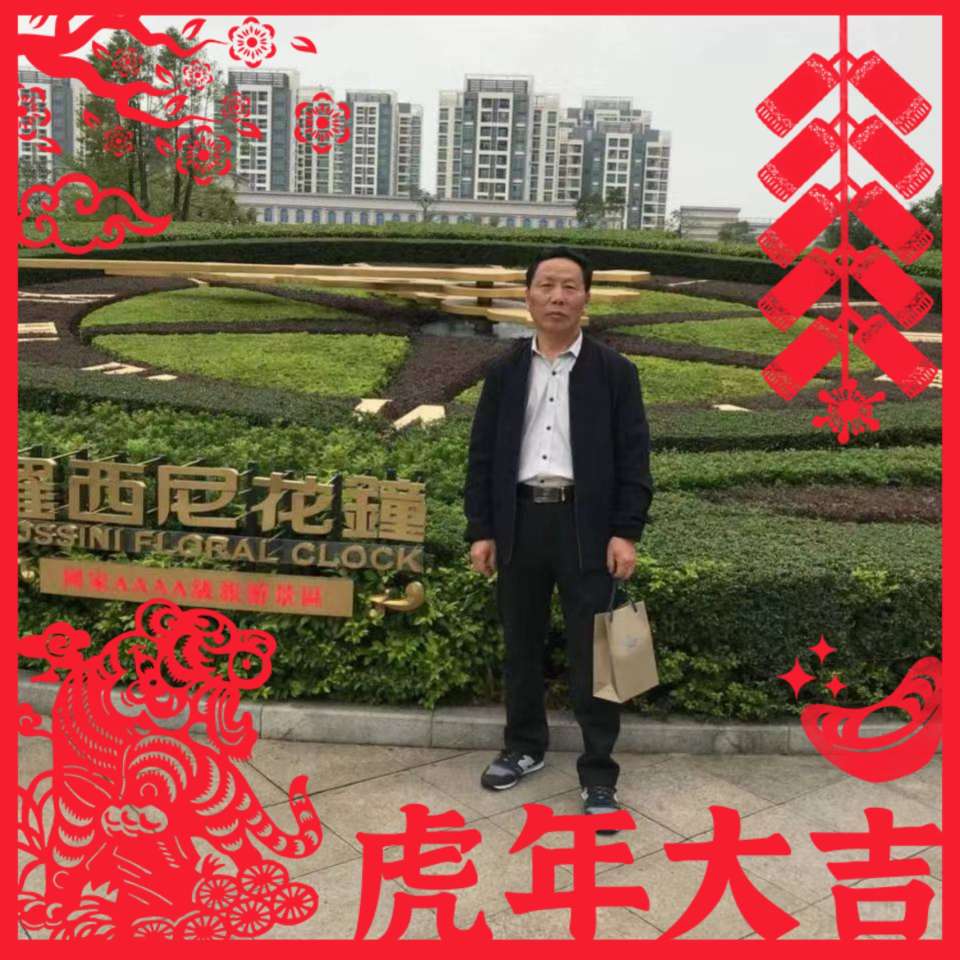 悦耳还小甜瓜的照片