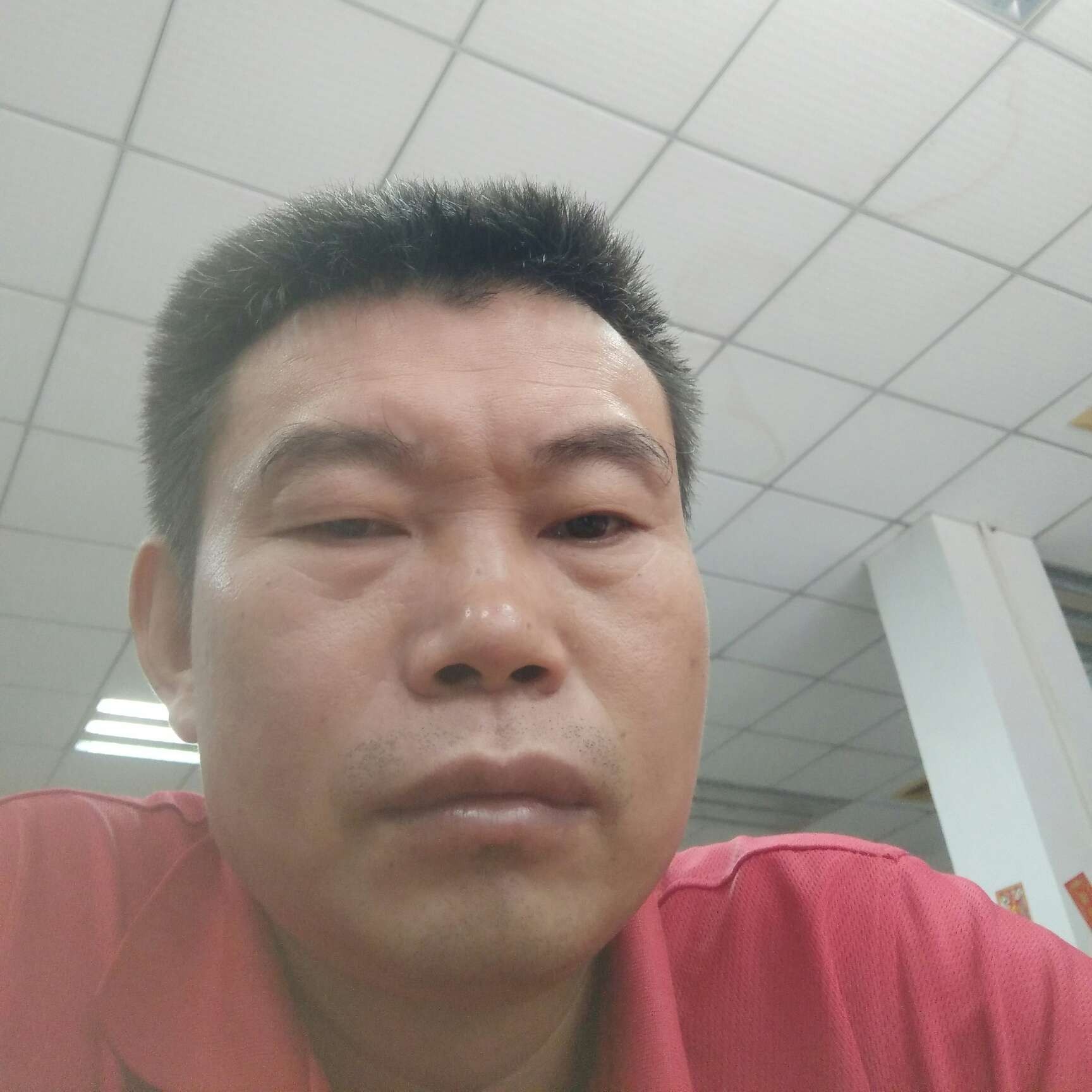 虚心蹁跹蜗牛的照片