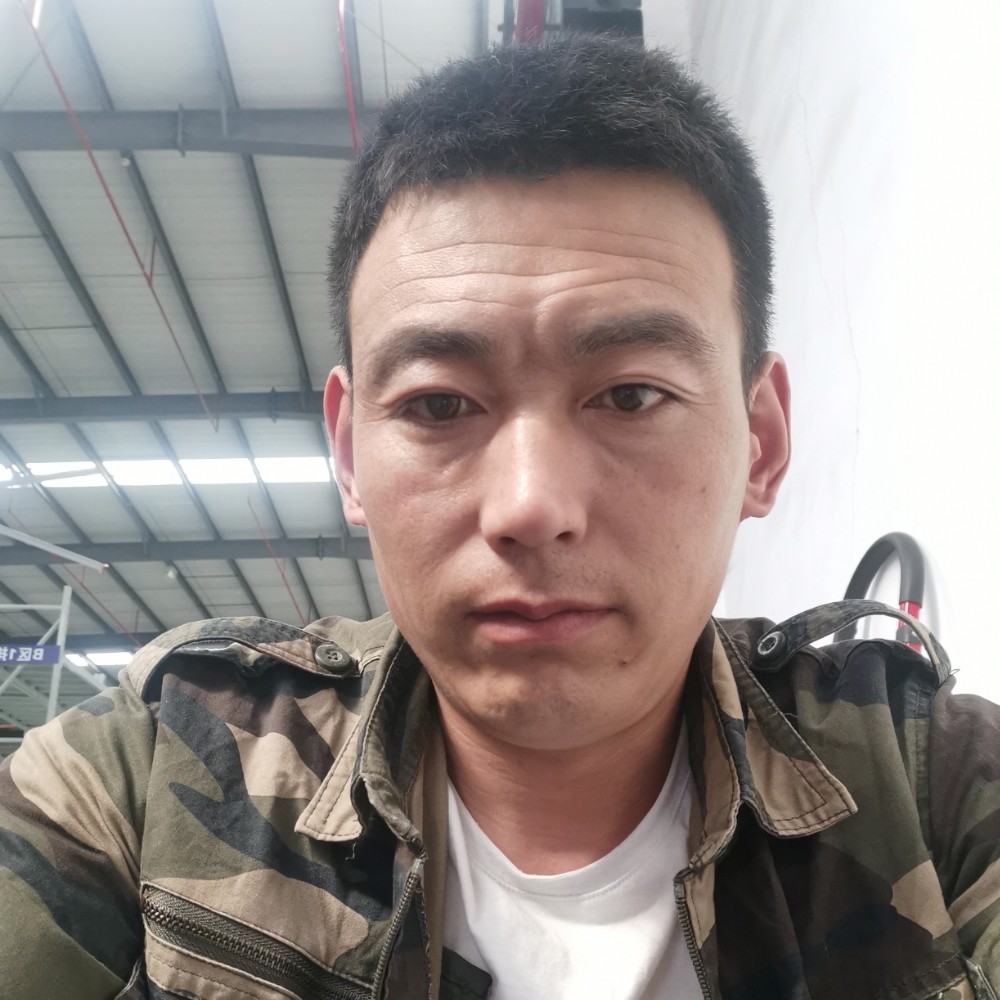 秀丽闻大象的照片