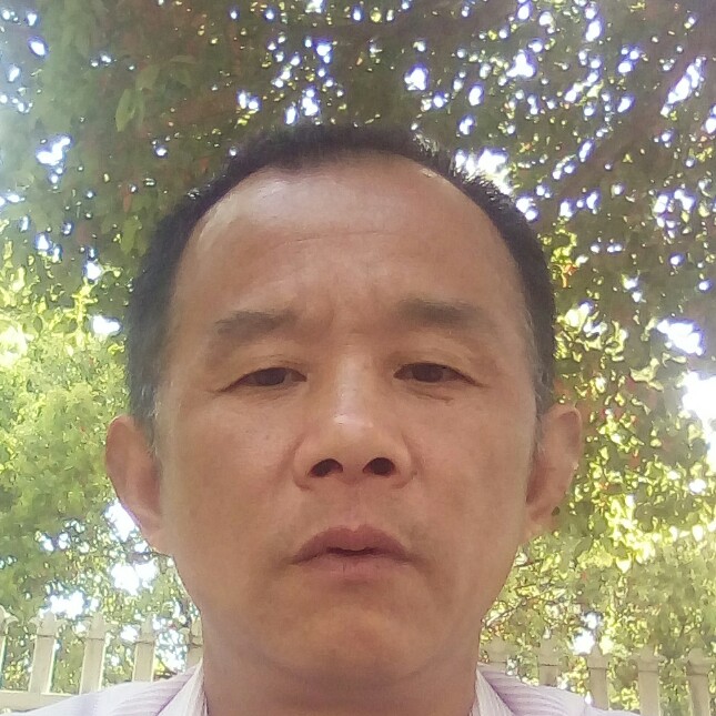 现代太阳的照片