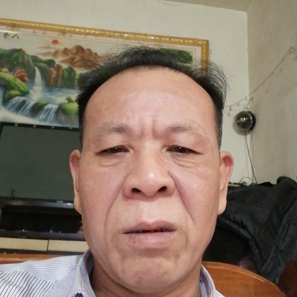 13028833006的照片
