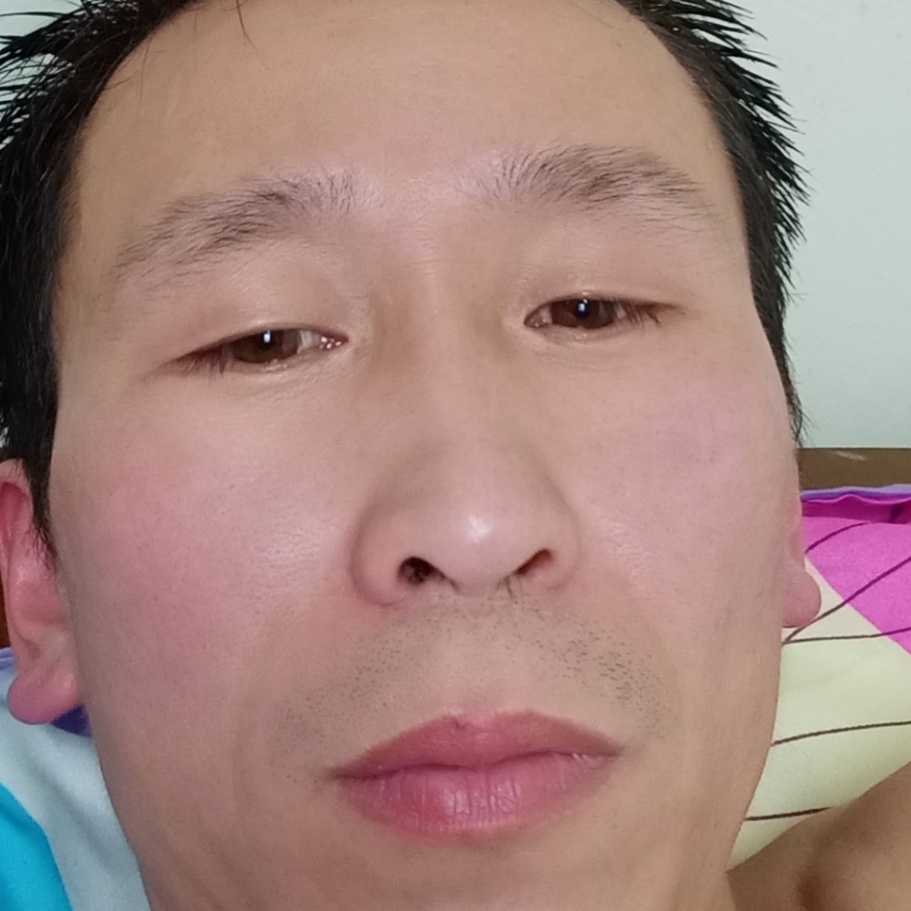 a孤独的狼的照片