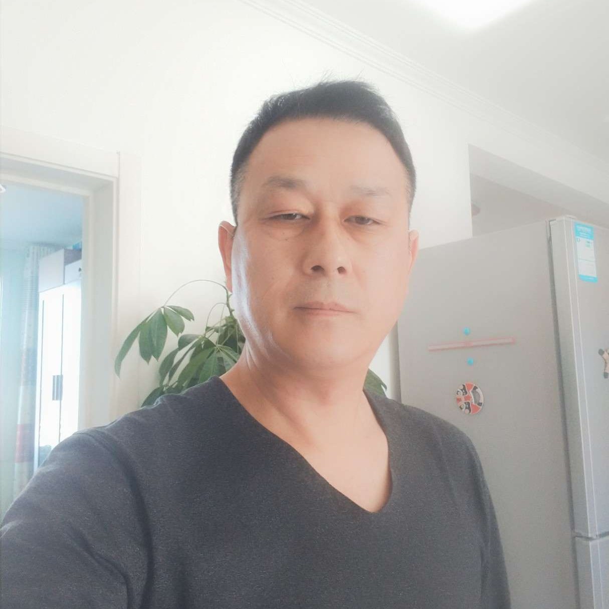 大白迷人的照片