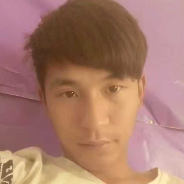仁爱浅吻老虎的照片