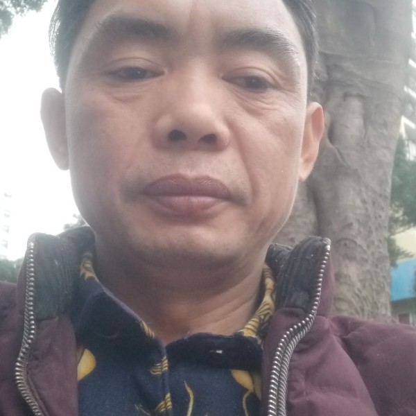 俊秀芹菜火凤凰的照片