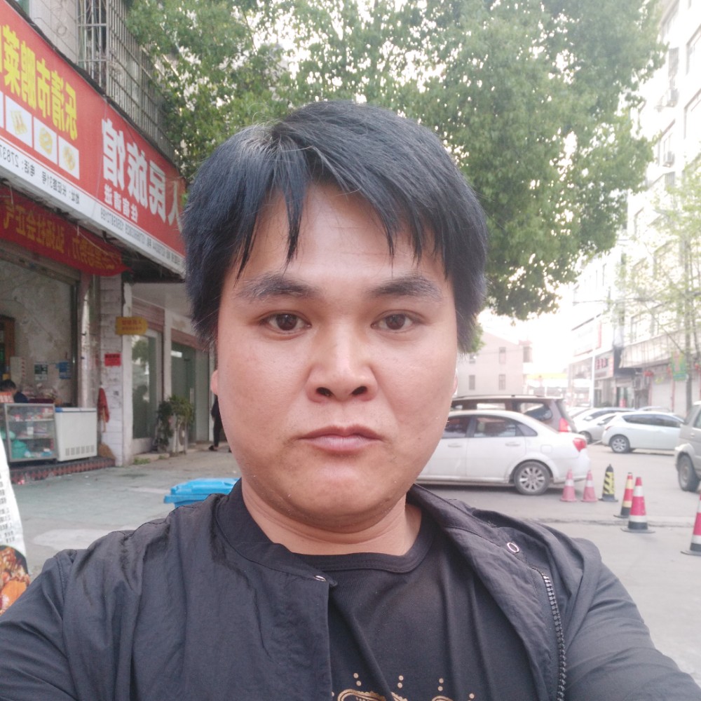 灰狼改变单纯的照片