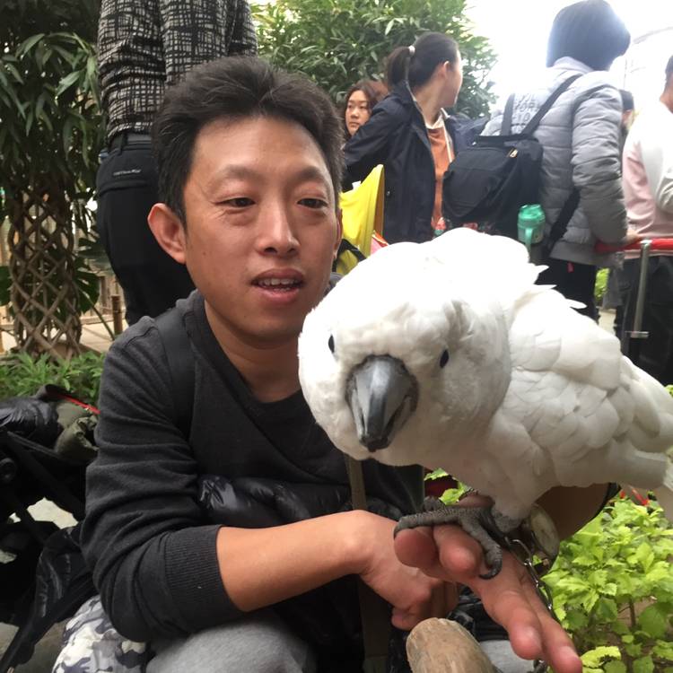 微风FV的照片