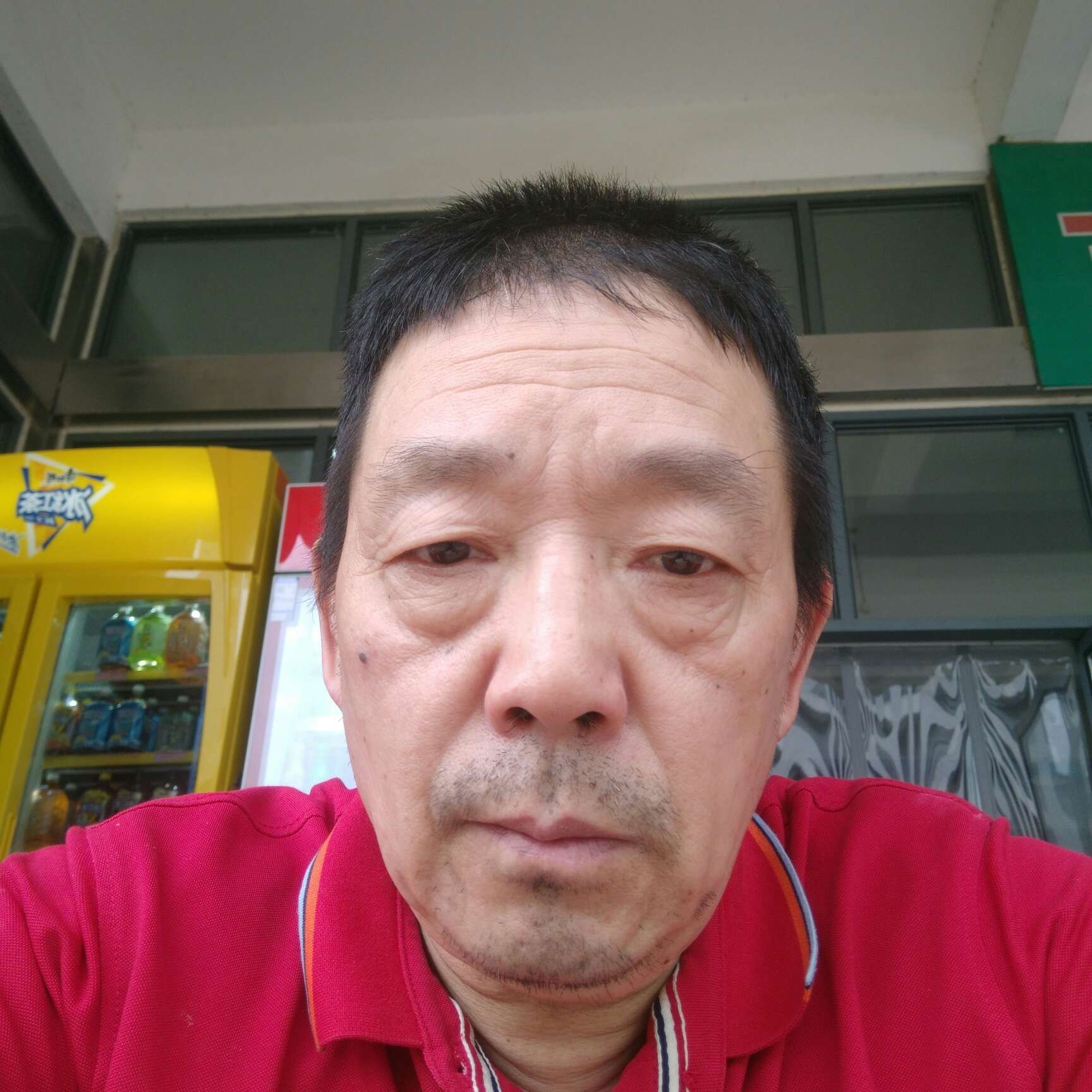 优美迎母鸡的照片