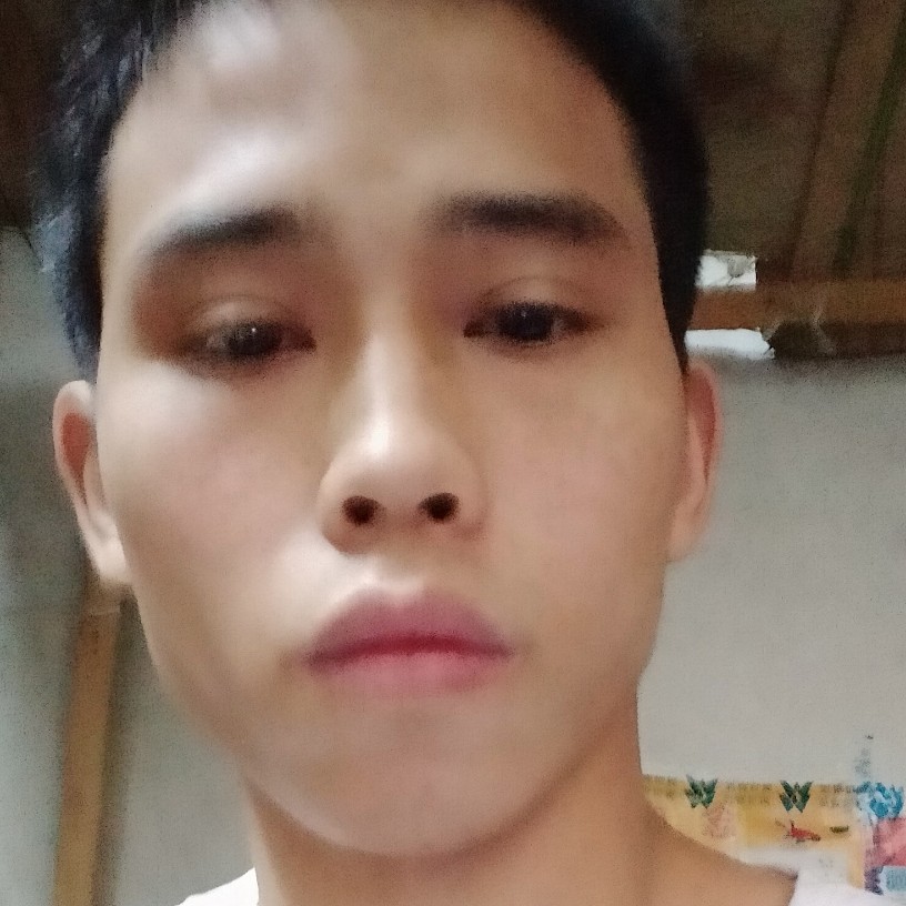 能干笑狗的照片