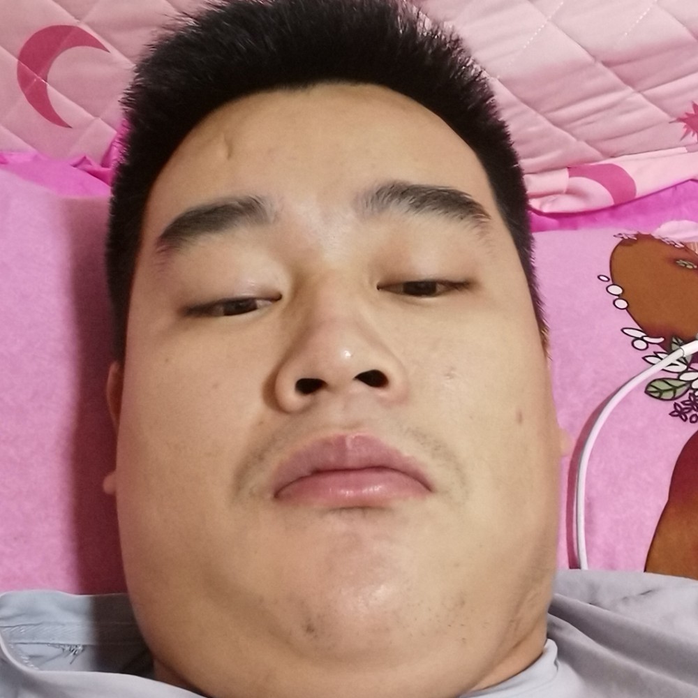照样的照片