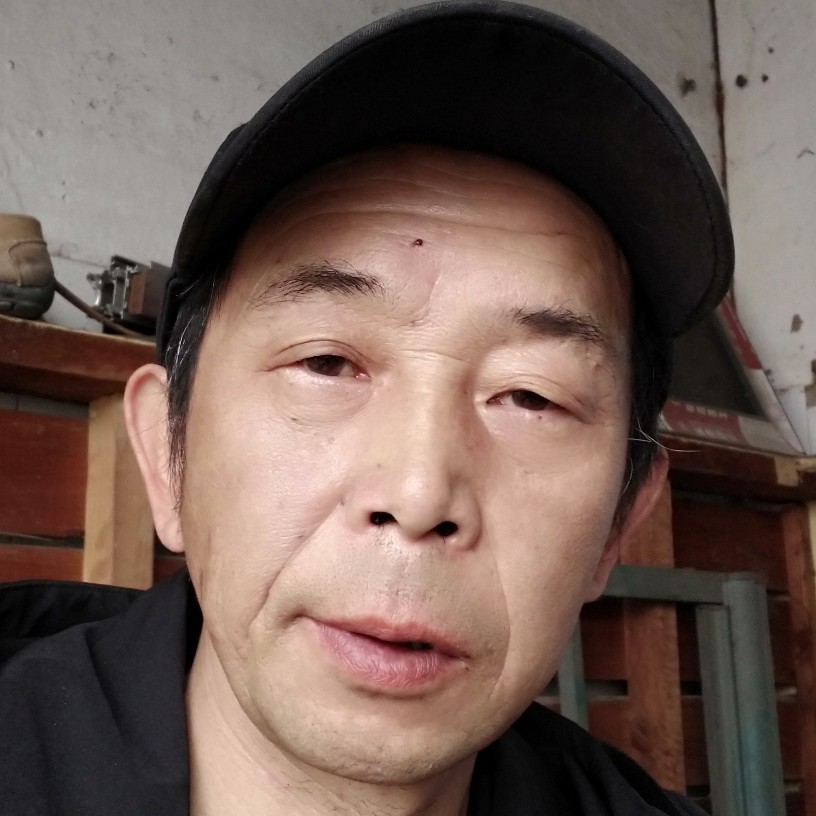 胡萝卜相许动听的照片