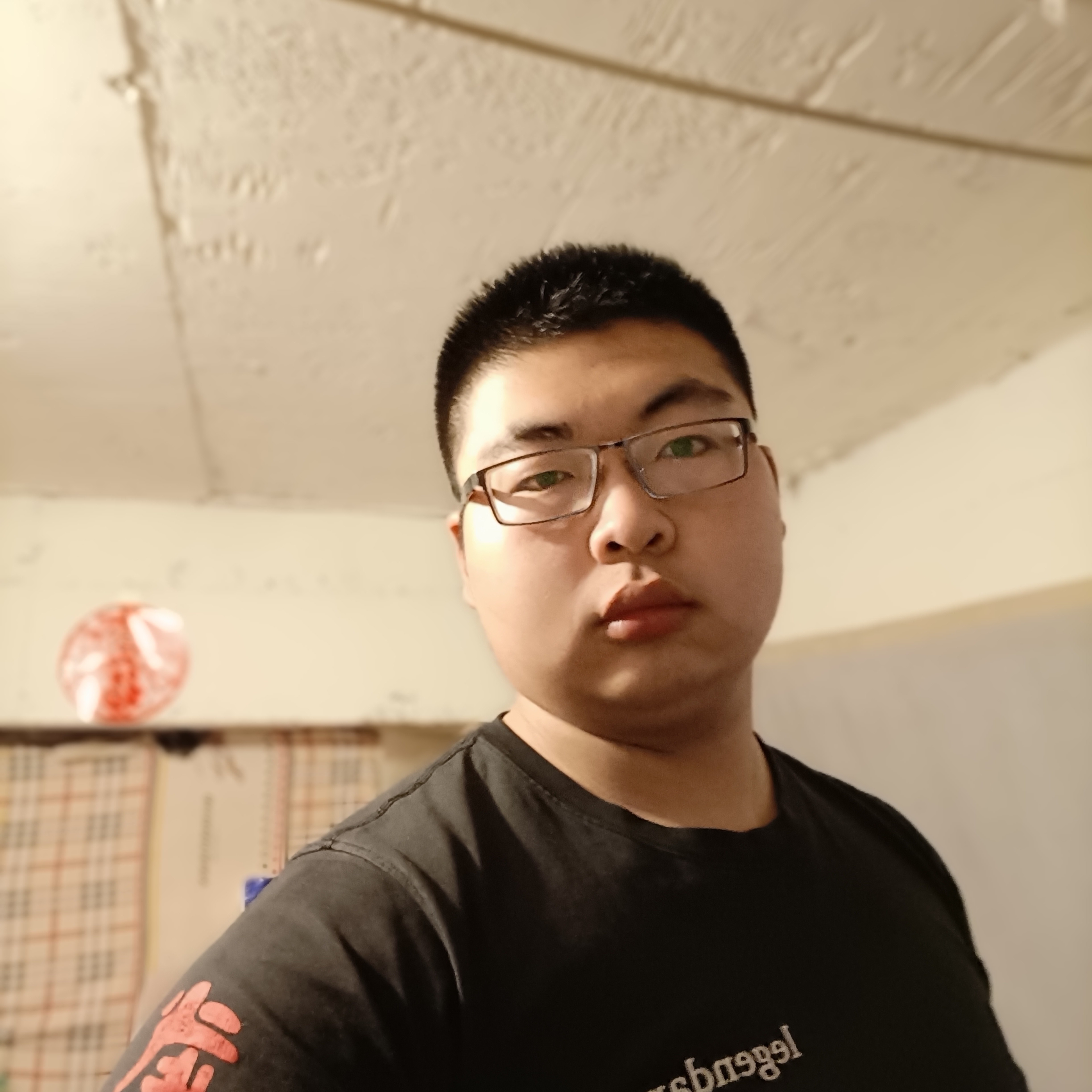 海燕乐观的照片