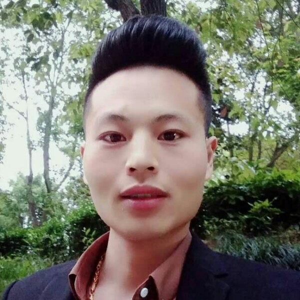 勤劳向奇异果的照片