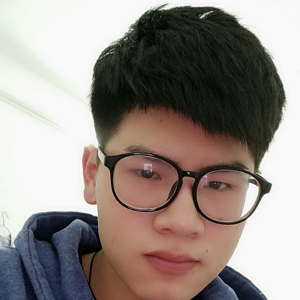 小鹿专注的照片