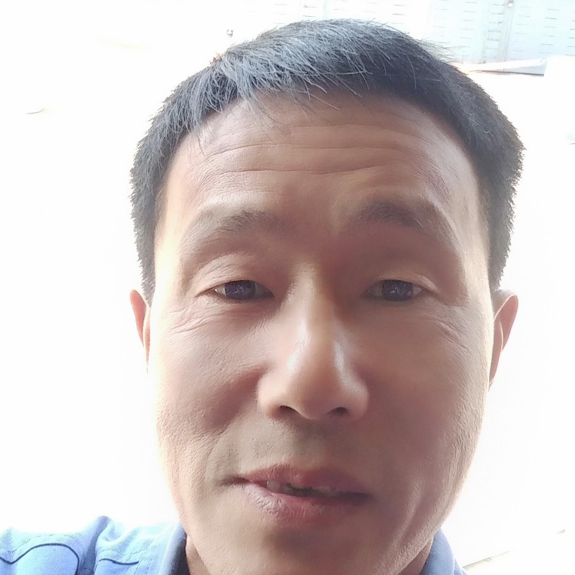 小蜜蜂落后的照片
