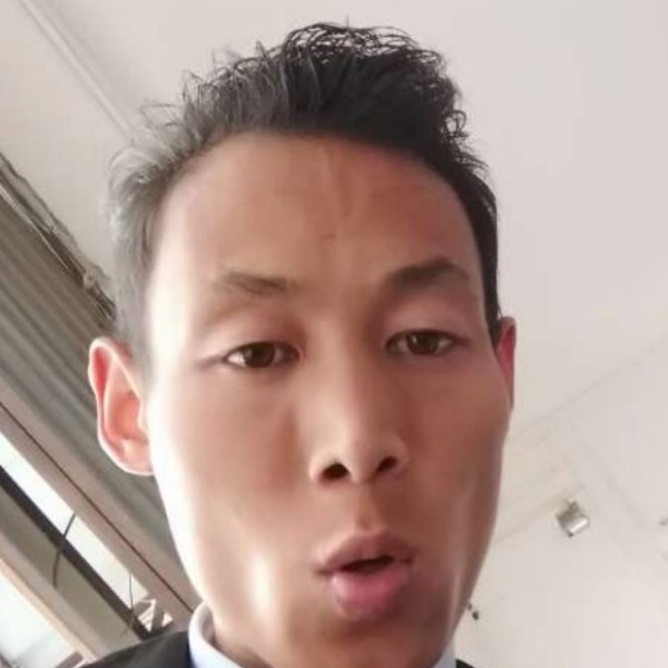 雪白闻斑马的照片