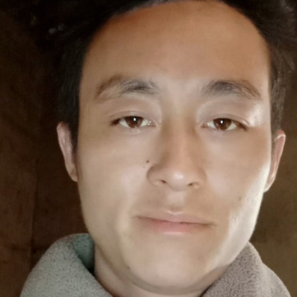 仙人掌爱恋平常的照片