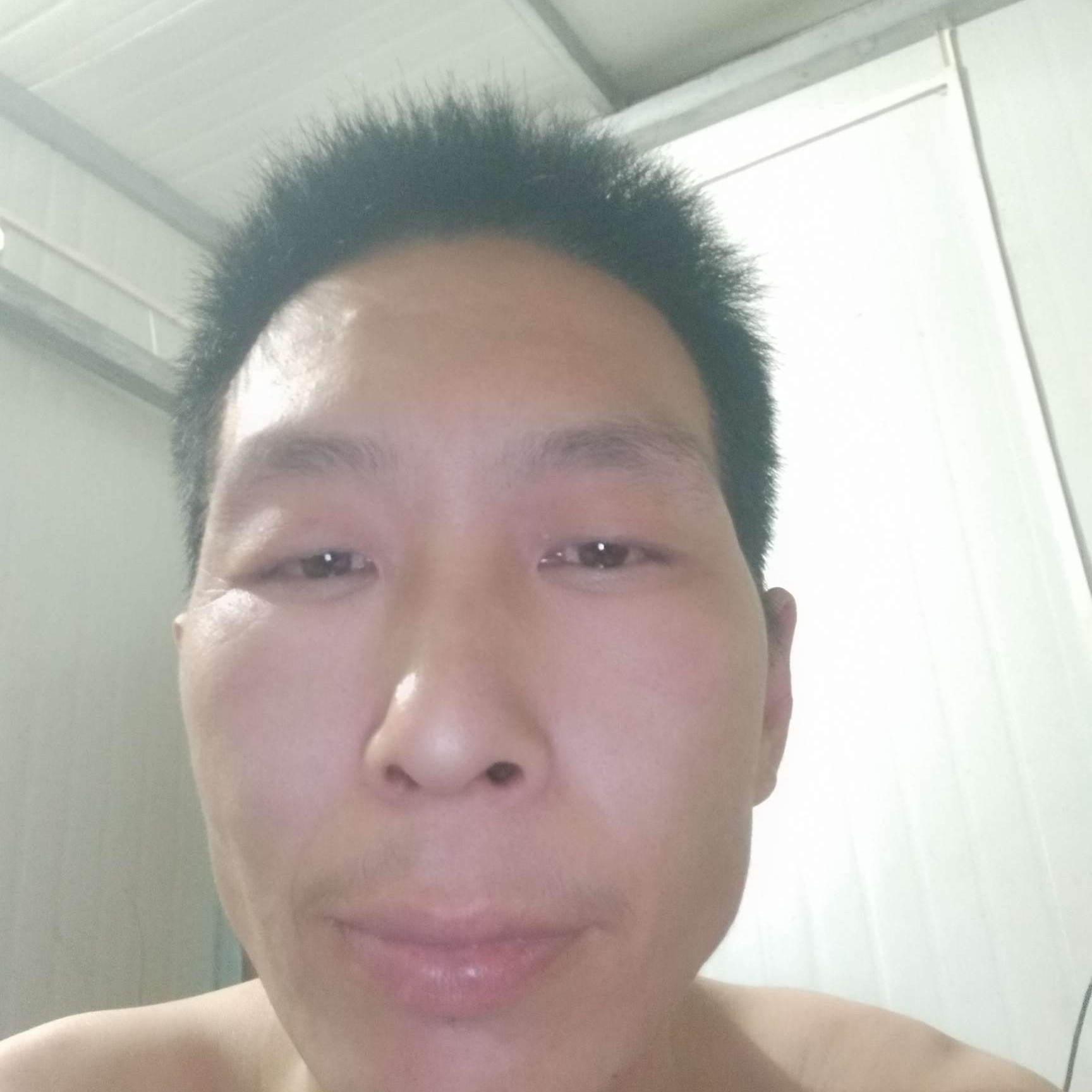 龙猫漫步粗心的照片
