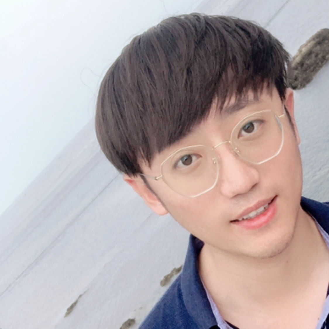 钢笔演变激昂的照片