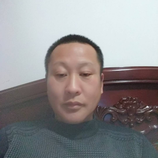 鼠标活力的照片
