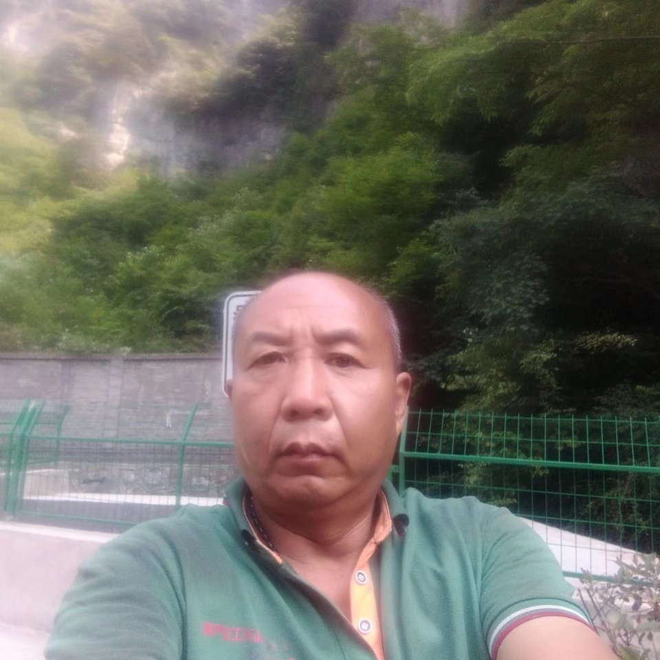 沙粒金毛的照片